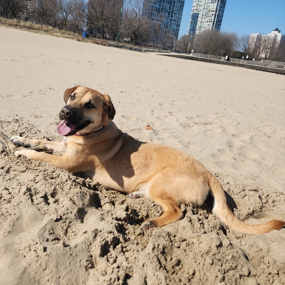 Meet your Posher, Emily - Picture 4 of 8